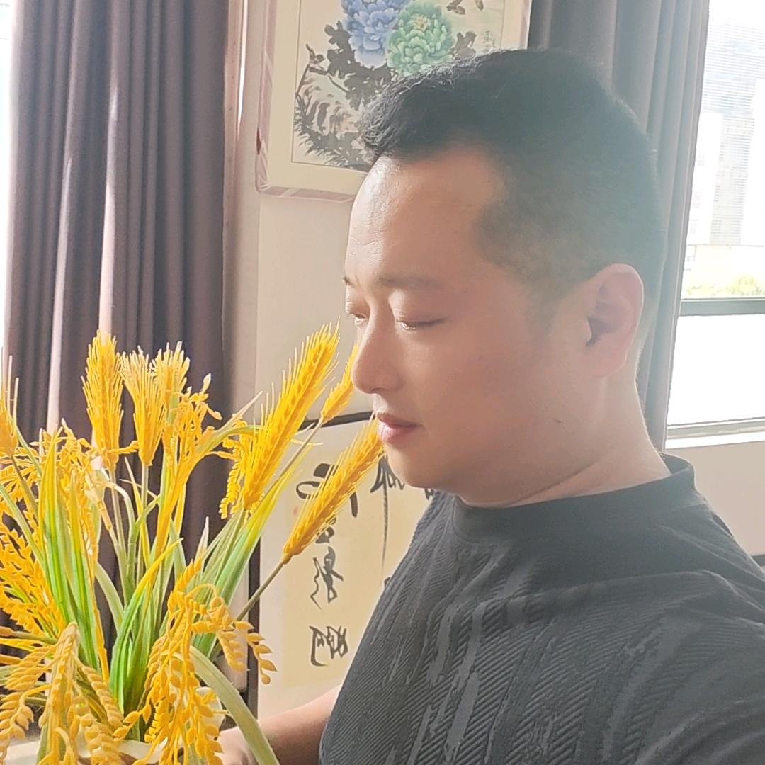 临泉一歌