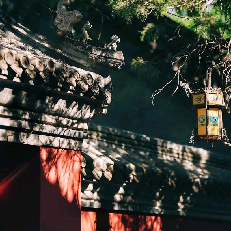 可悬