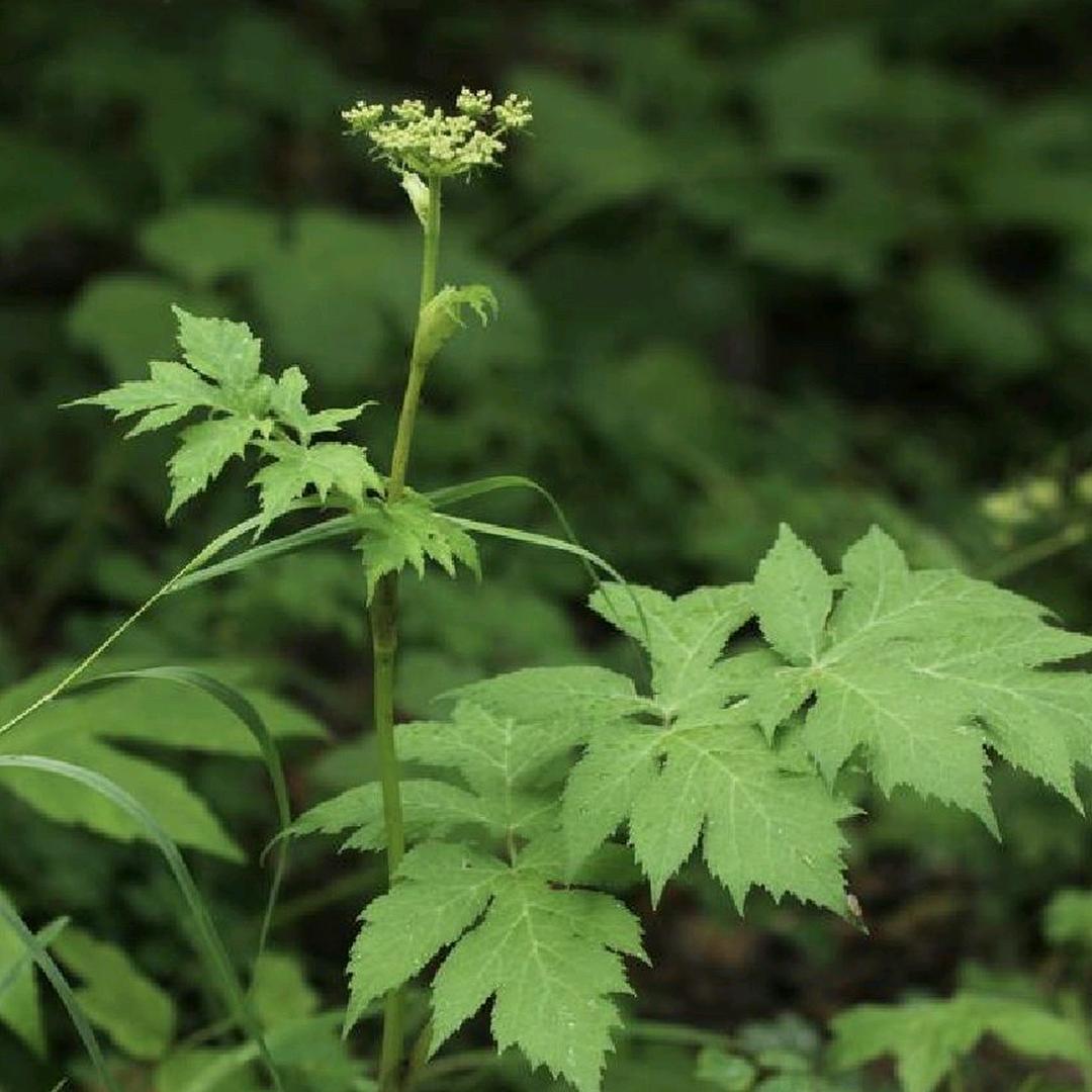生死由命，富贵再添！