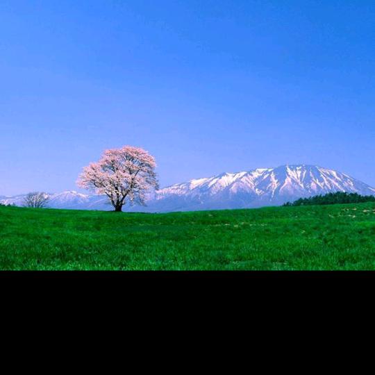 远山