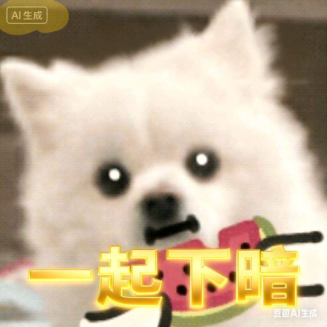内向的梦求真（被AN94爆了）