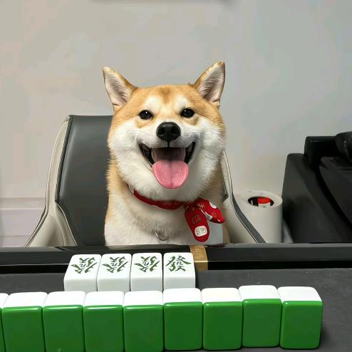 屎倒淋头还搅便