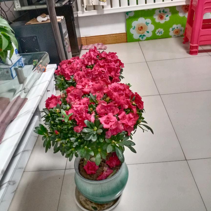 一生平安，一世健康