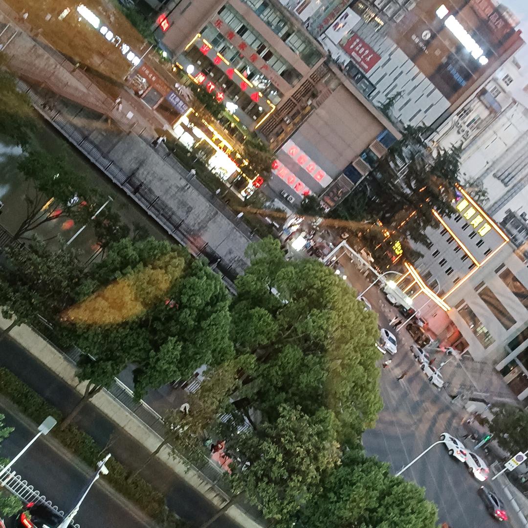 (@感恩有你^O^华)橱窗有宝贝☘️