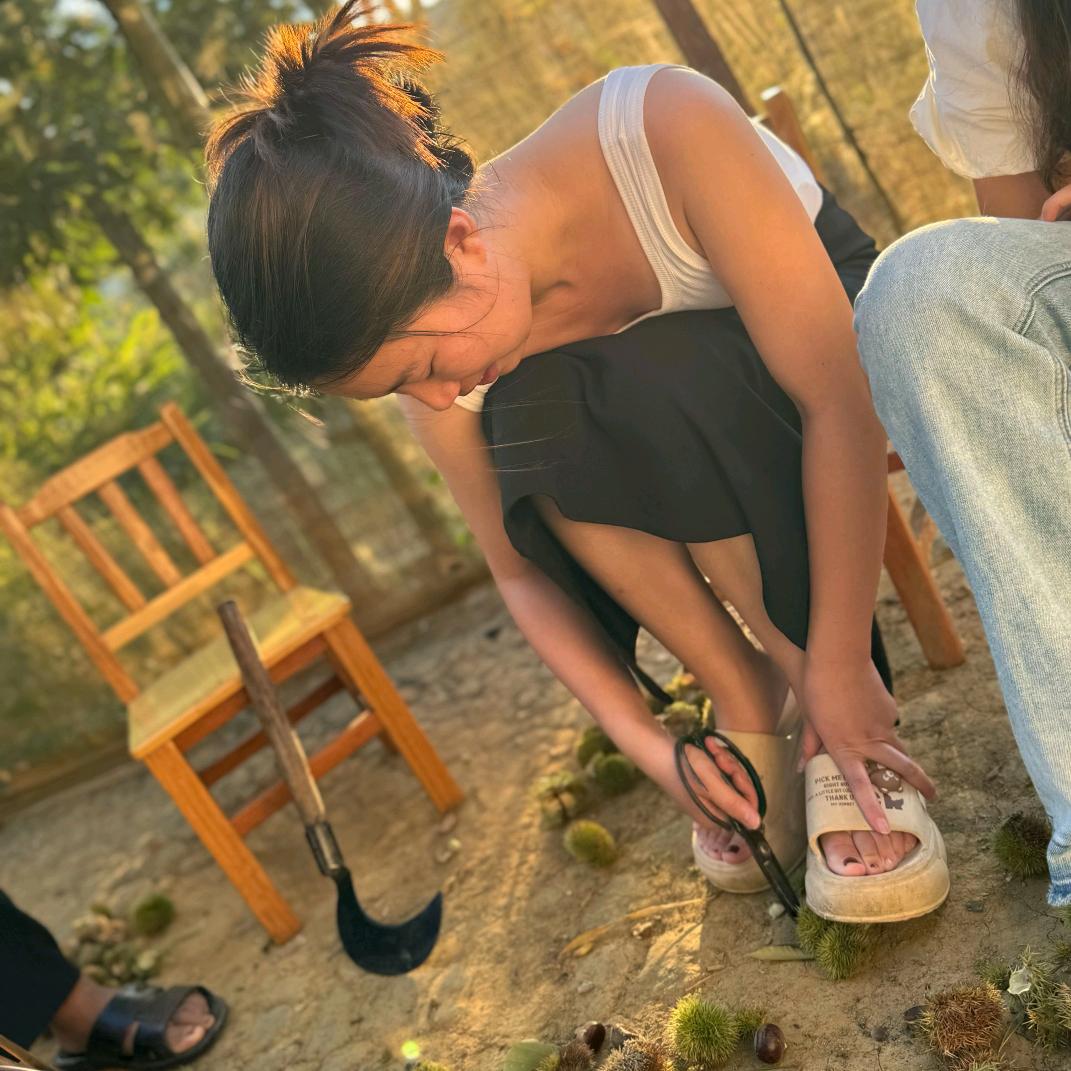奥特曼的小怪兽