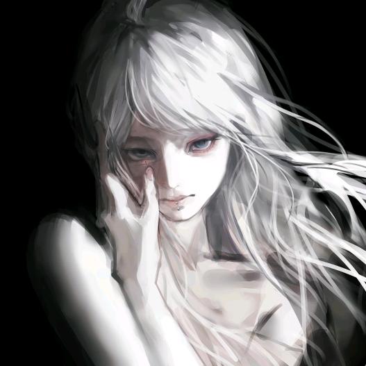 白鸟白又白