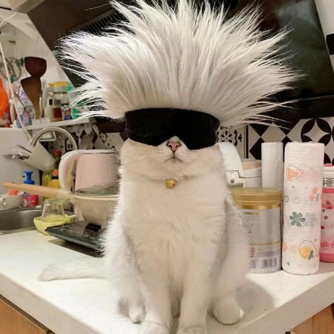 ﾉ☀