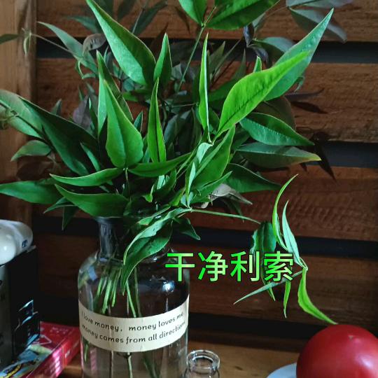 以净为美
