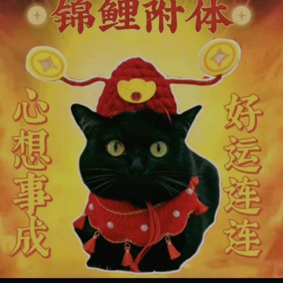 鳗姐🤟