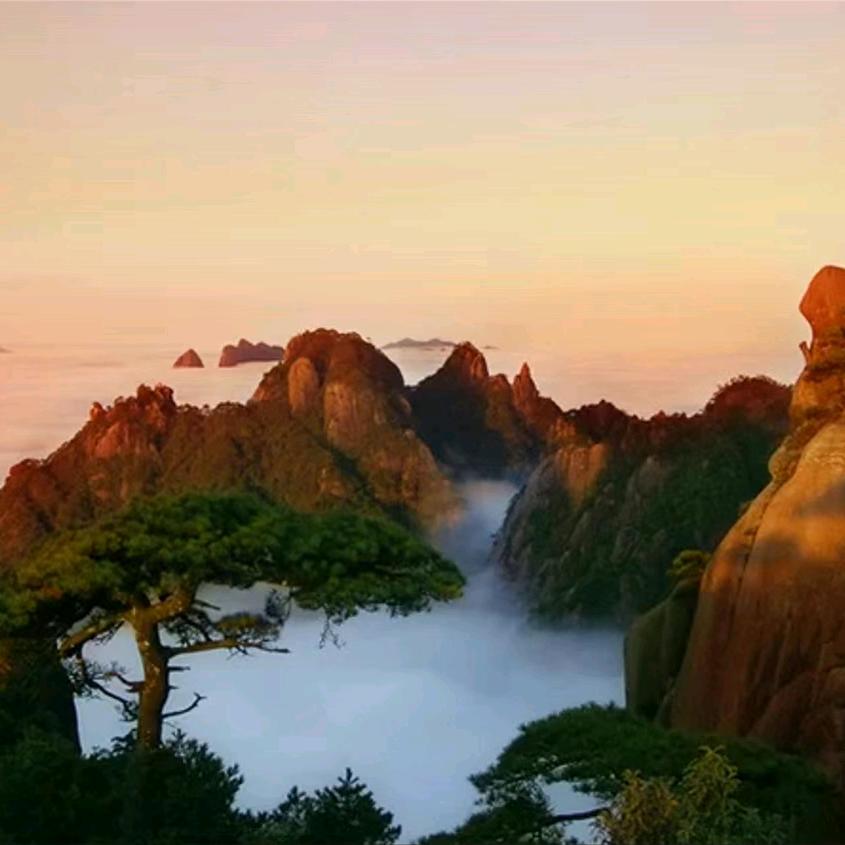 不敢惹你生气
