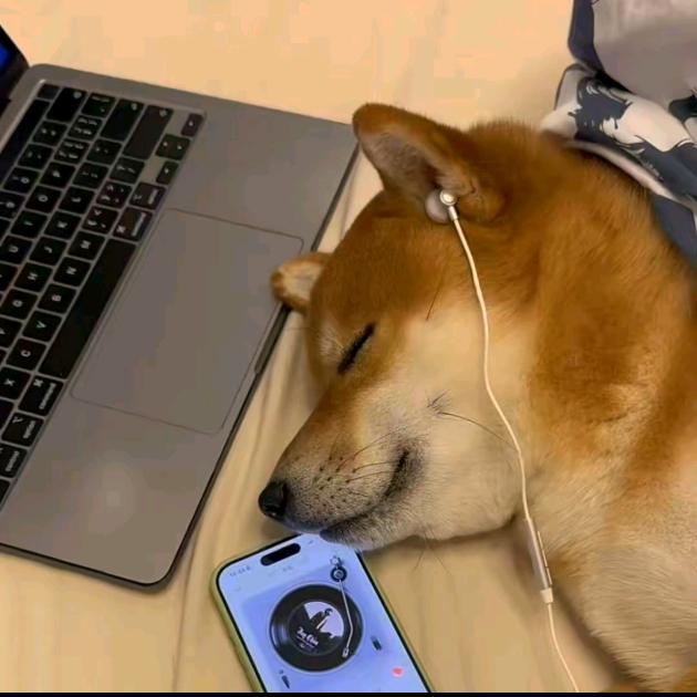 洋芋丝炒土豆片❗️