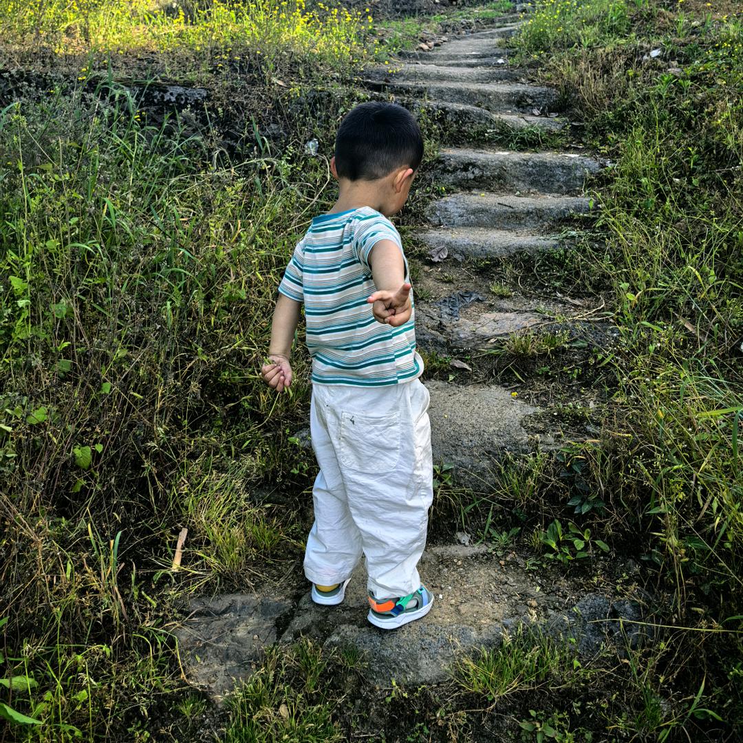 一只小蛮牛🐮。