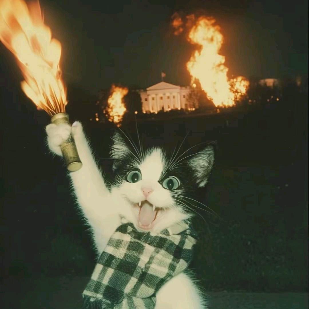 24678桥下游过一群鸭