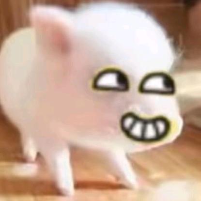 呆呆