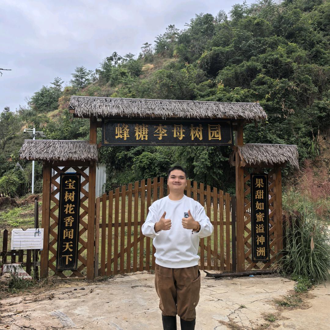 梦泽六马蜂糖李