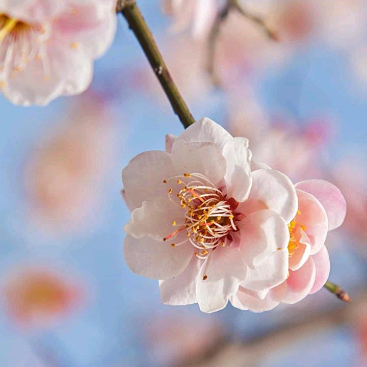 荣✔