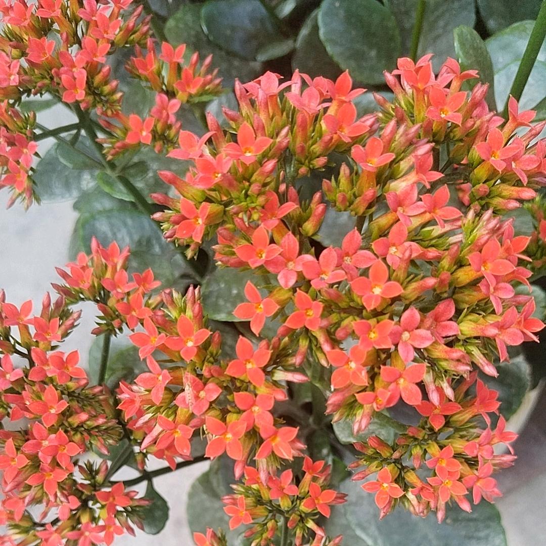 静享时光