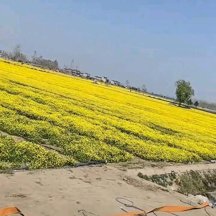 90后小伙在嘉兴