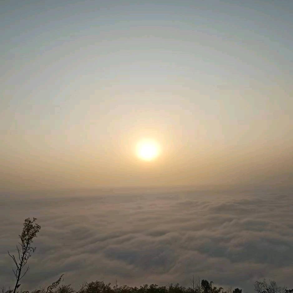 梅-