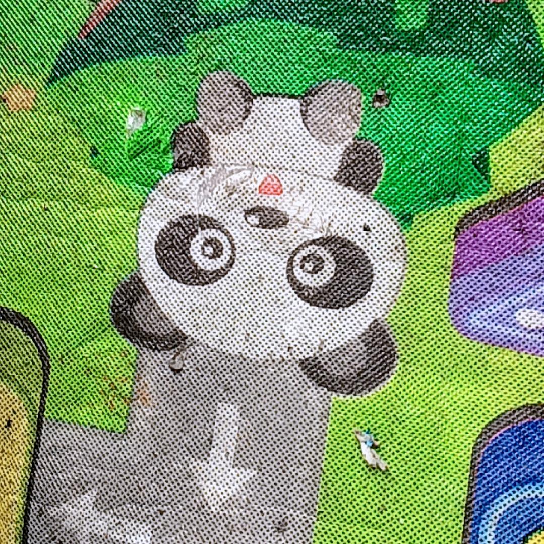 追风