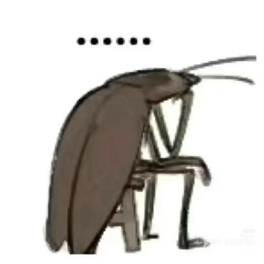 不中