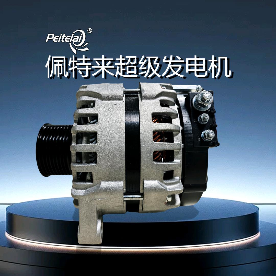 常州佩特来扁线发电机