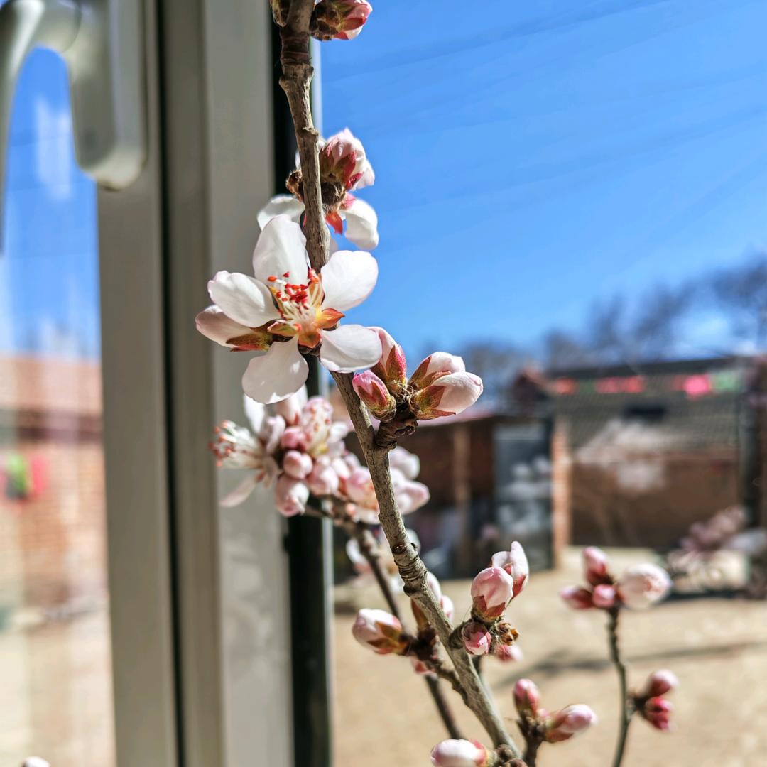 西游女王陛下驾到