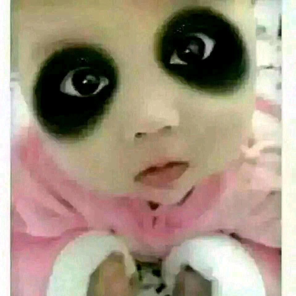 国宝🐼🐼🐼