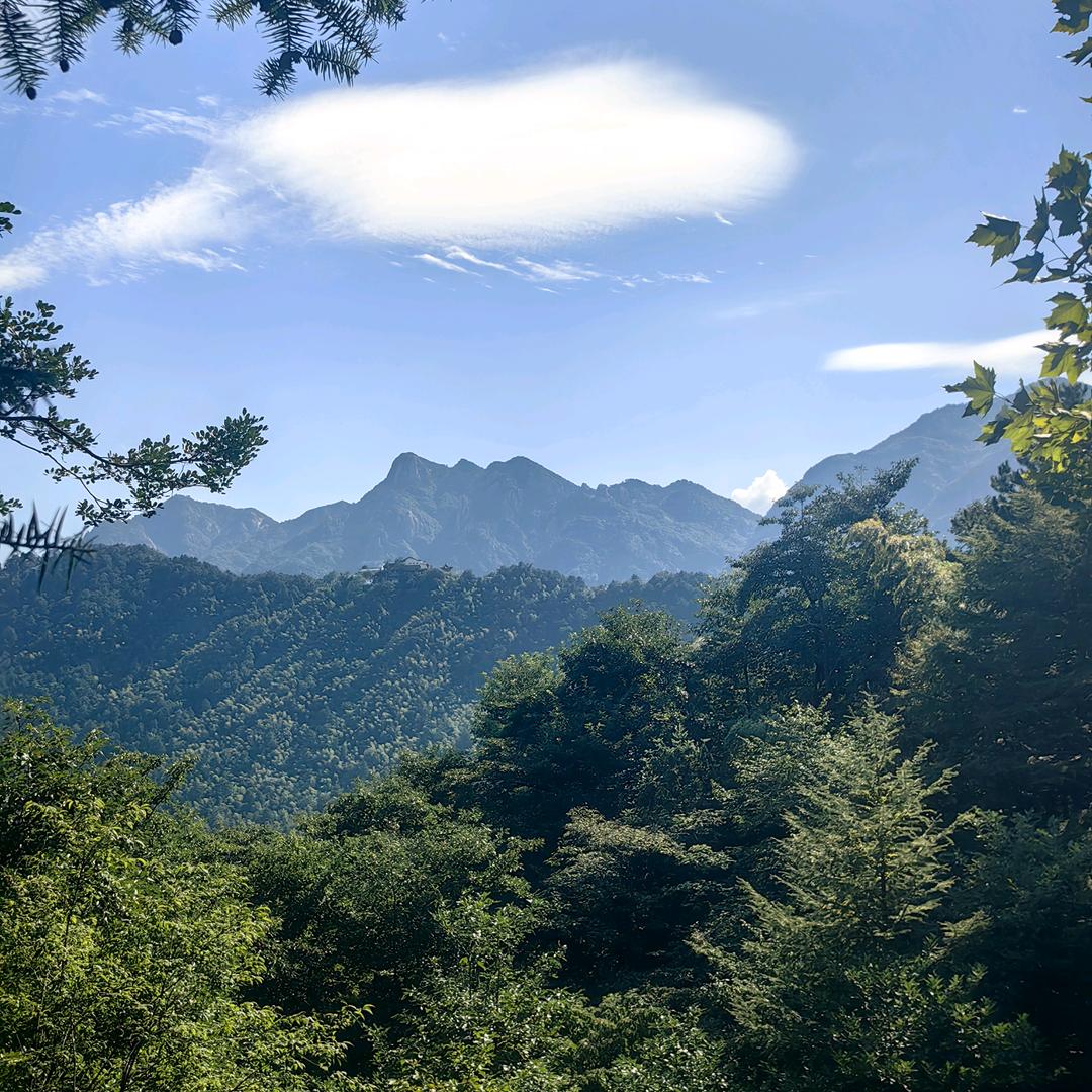 未来—已来