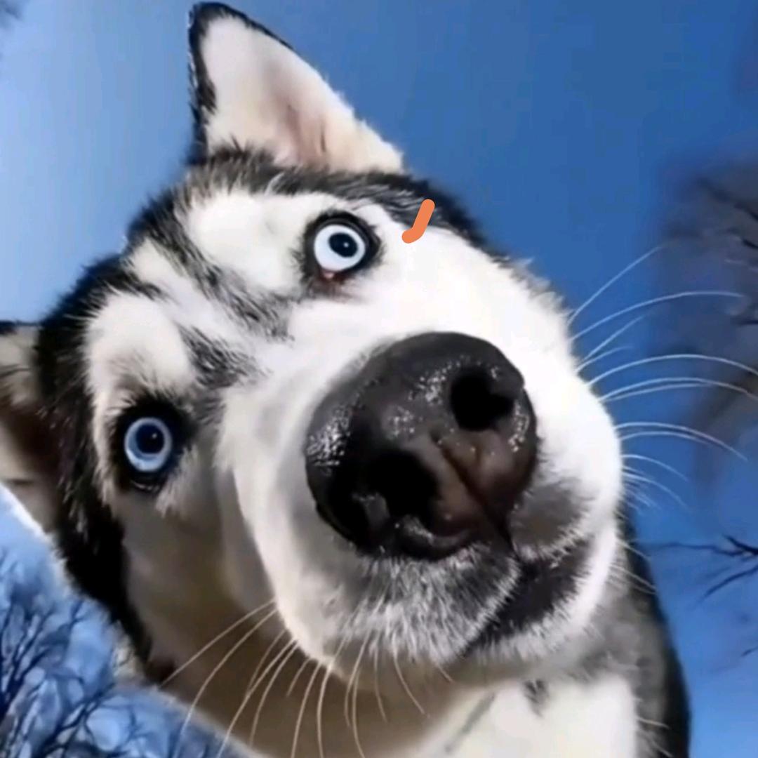 好运气（祝好人一生有好运！）