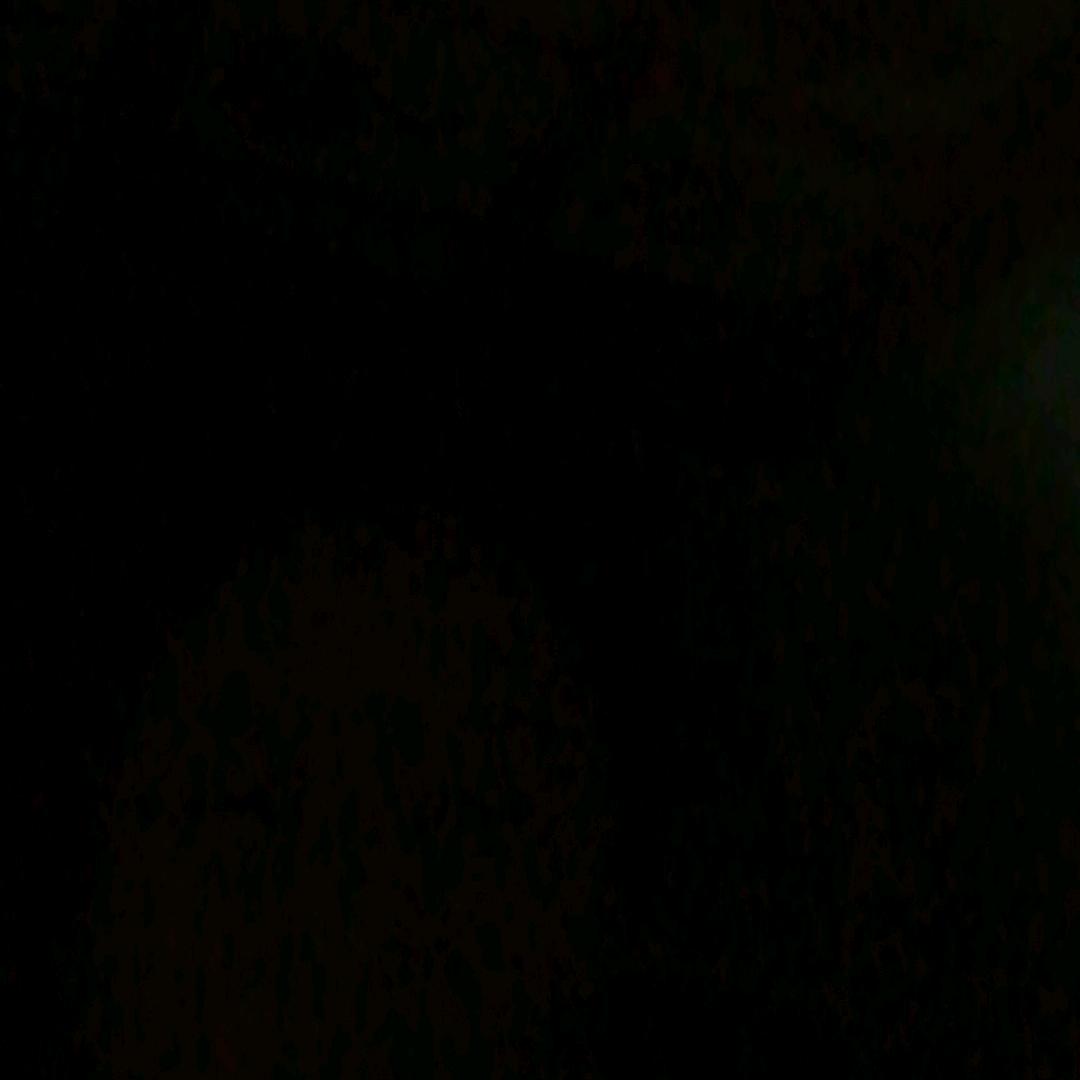 丽
