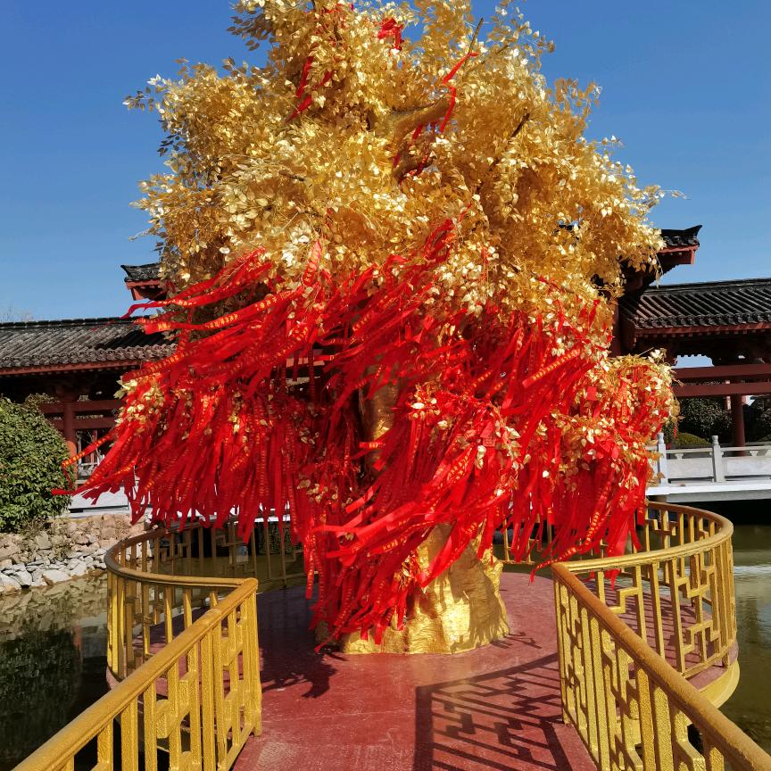 郭云富 辣椒批发
