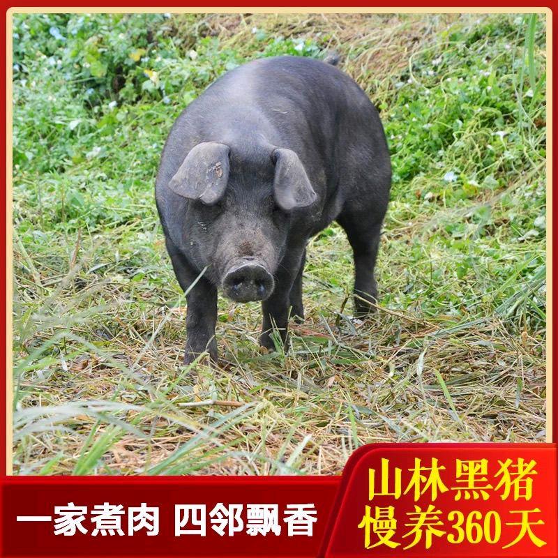 蓟州土猪农家乐