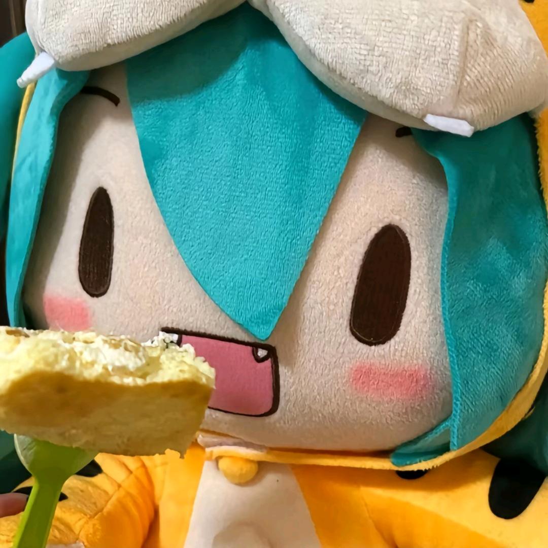 茉莉.