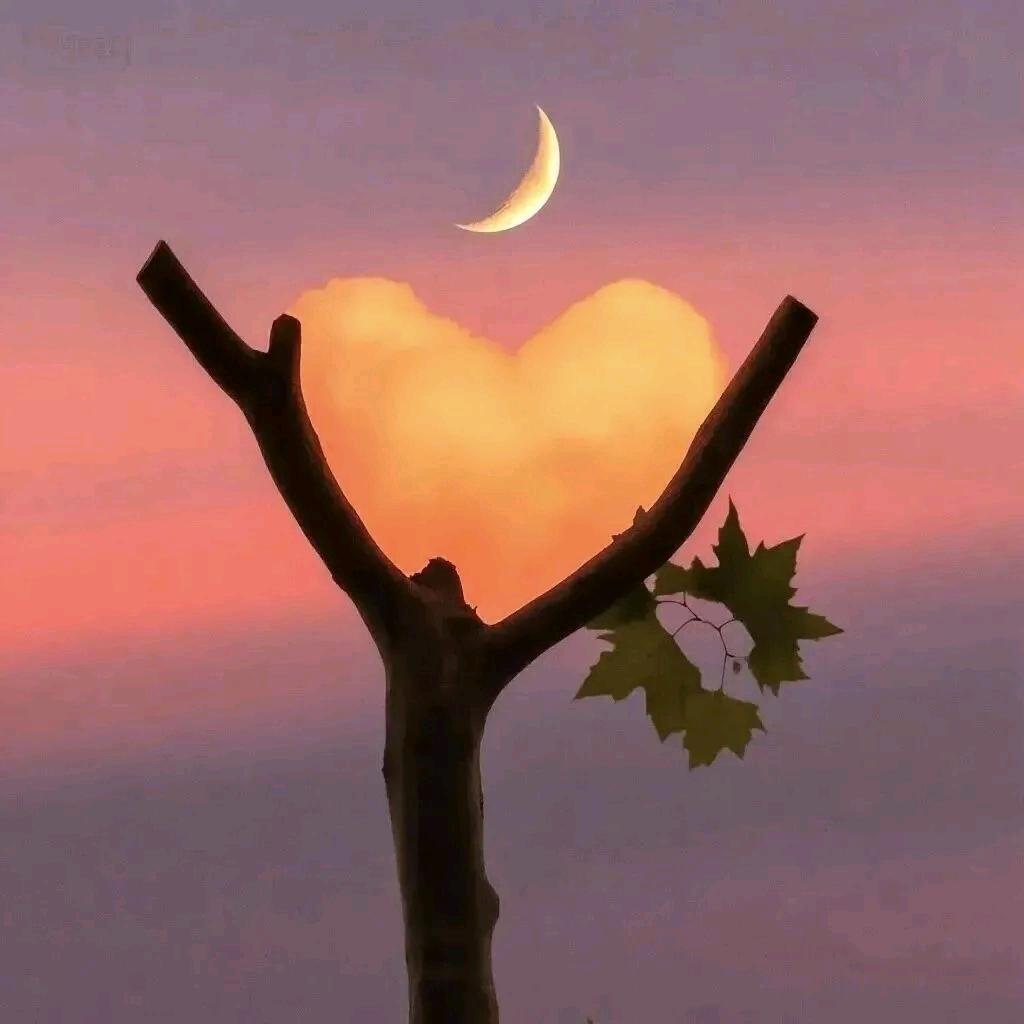 ༄ᐝ好运💞加满໊ഒᩚ࿐