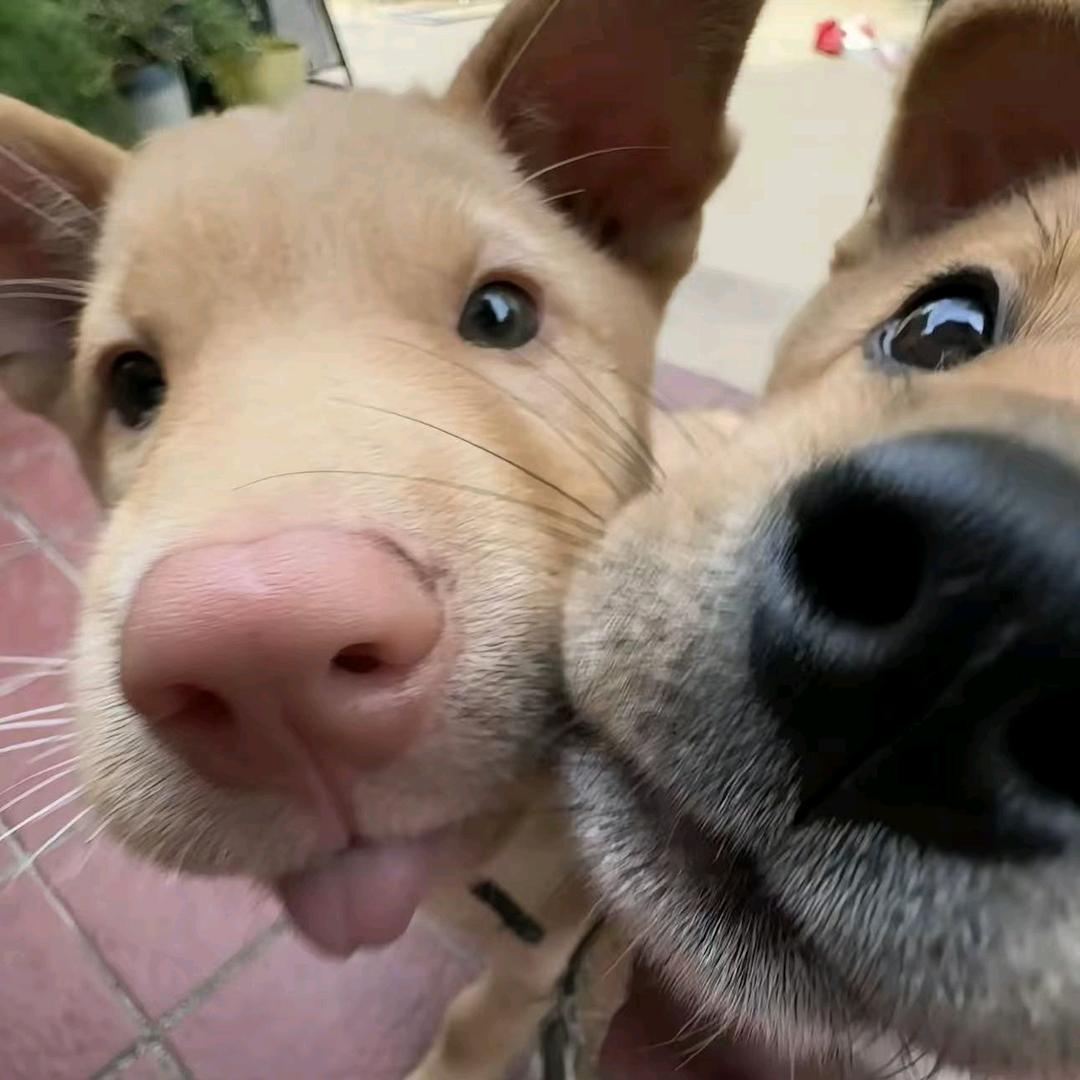 鑫鹏程驾校付教练