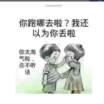 🌿遇一人到白首