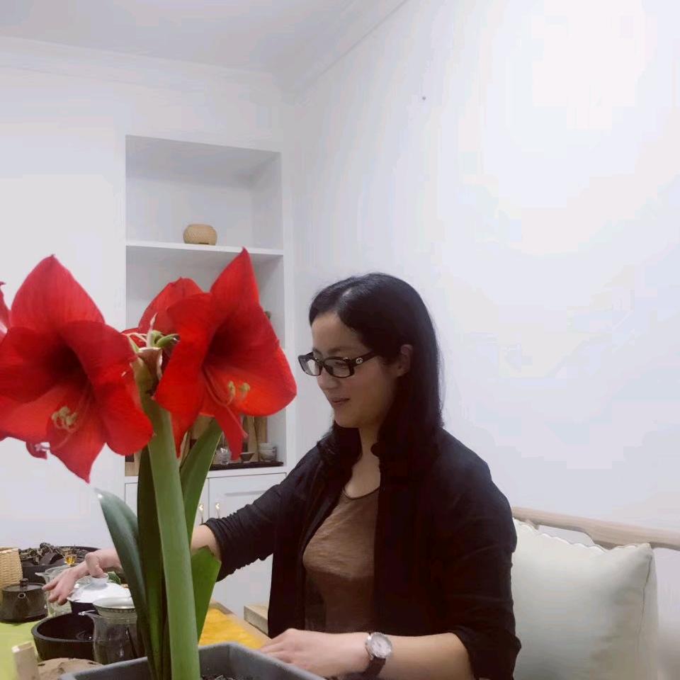 丽燃姐