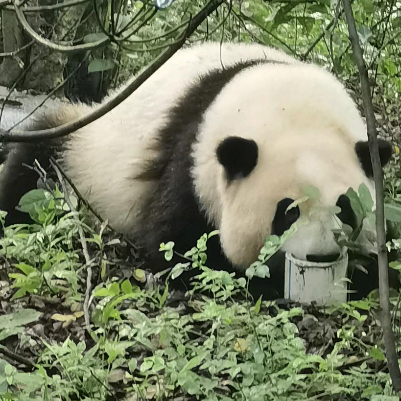 人生何处不相逢