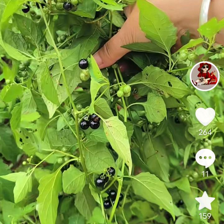 好开心呀
