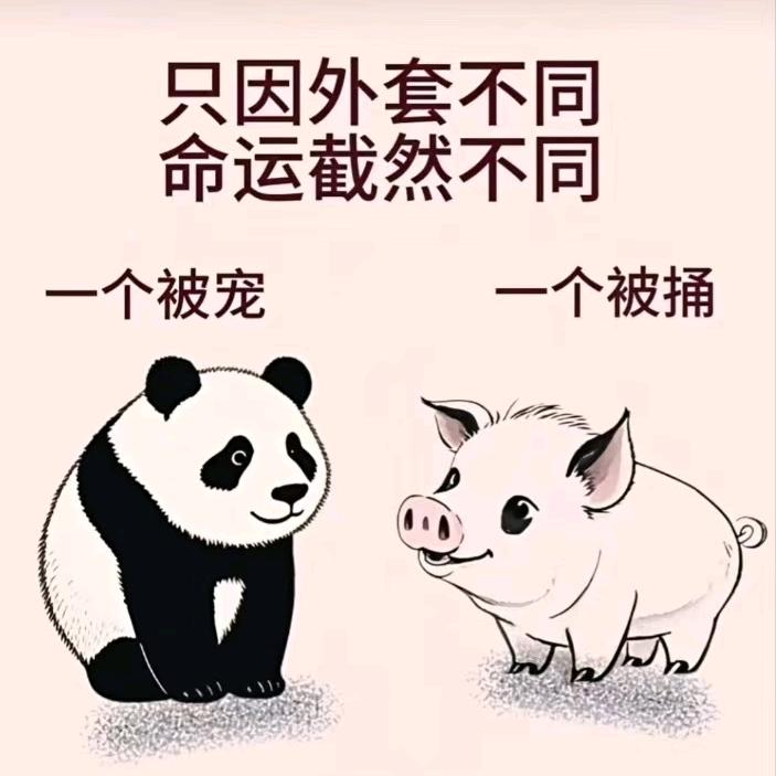 搞钱搞钱