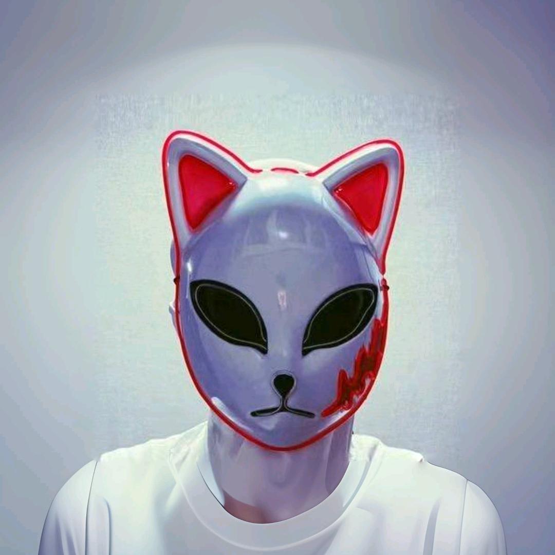 玉面猫
