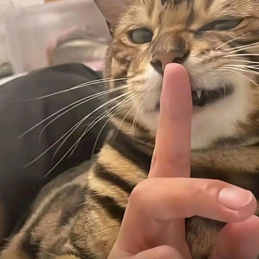 大大帅怪