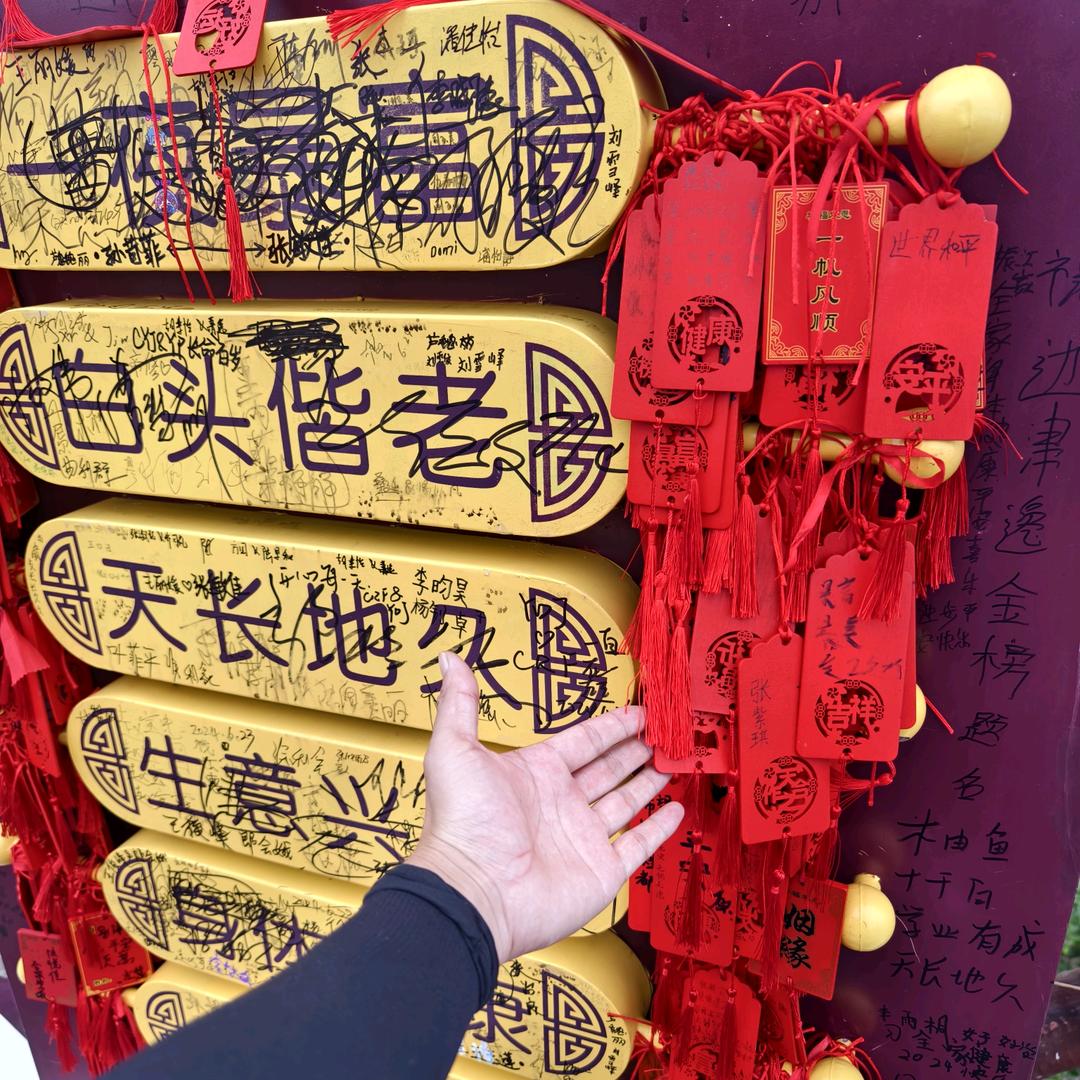 Tiger不吃人😂
