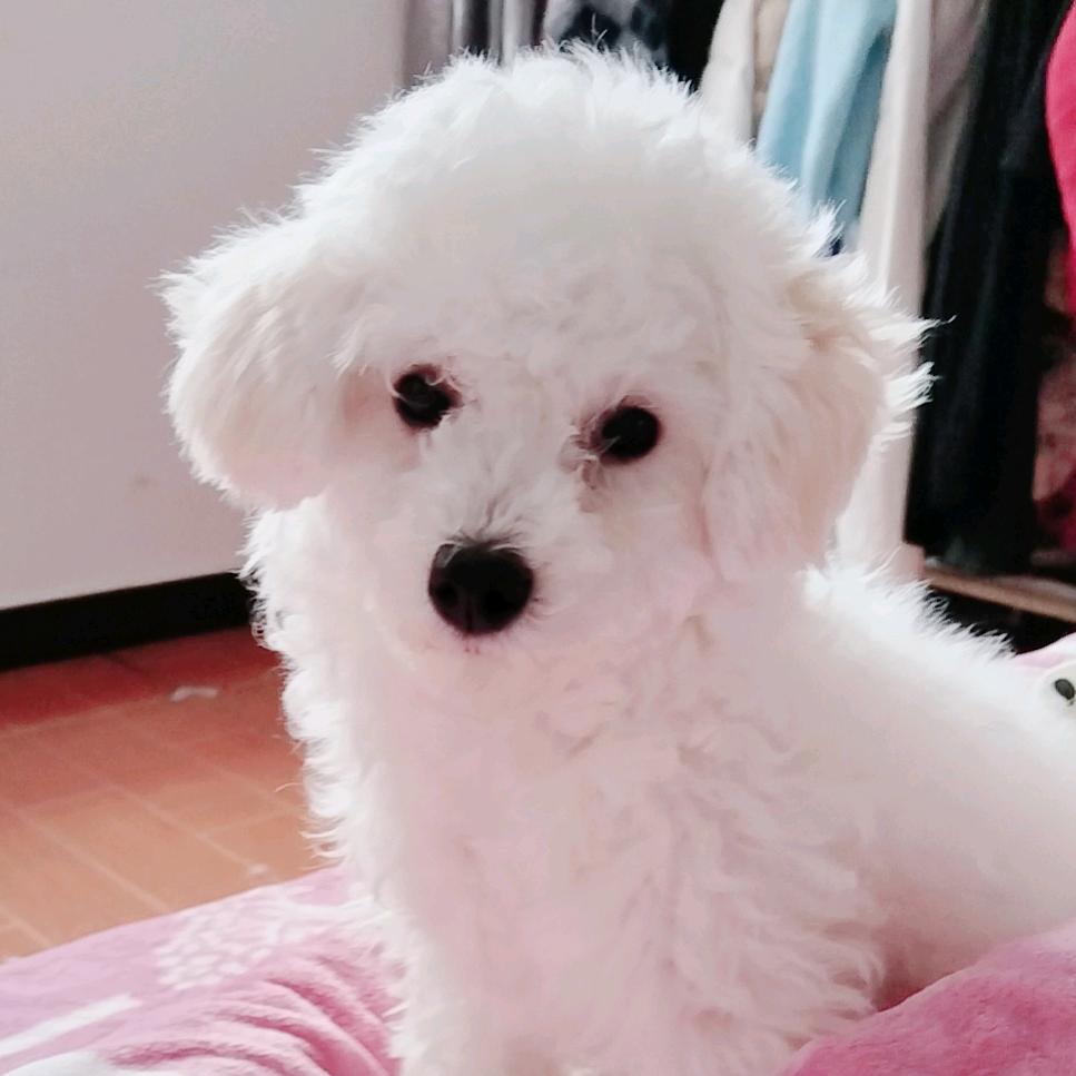 起点^O^