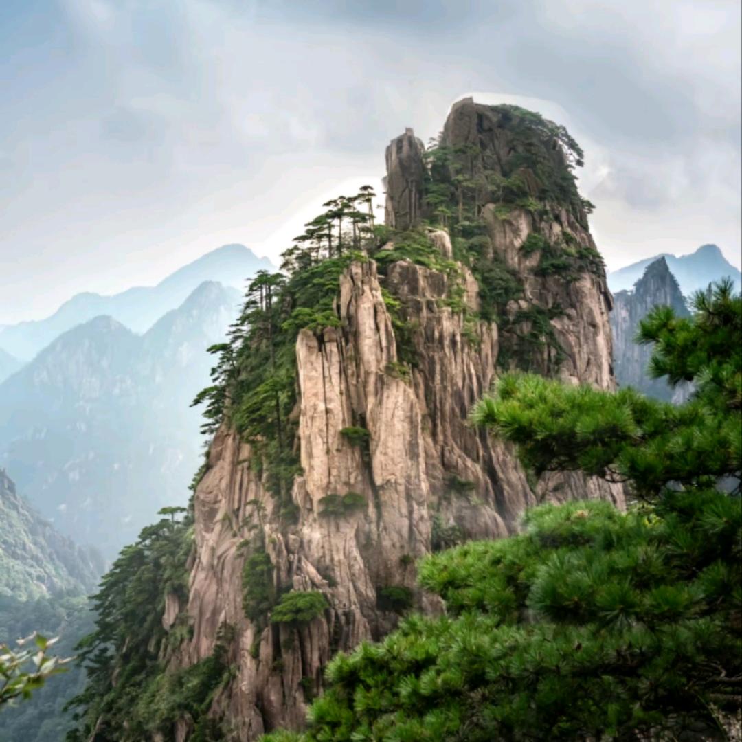 百叶窗安装 陈叫兽