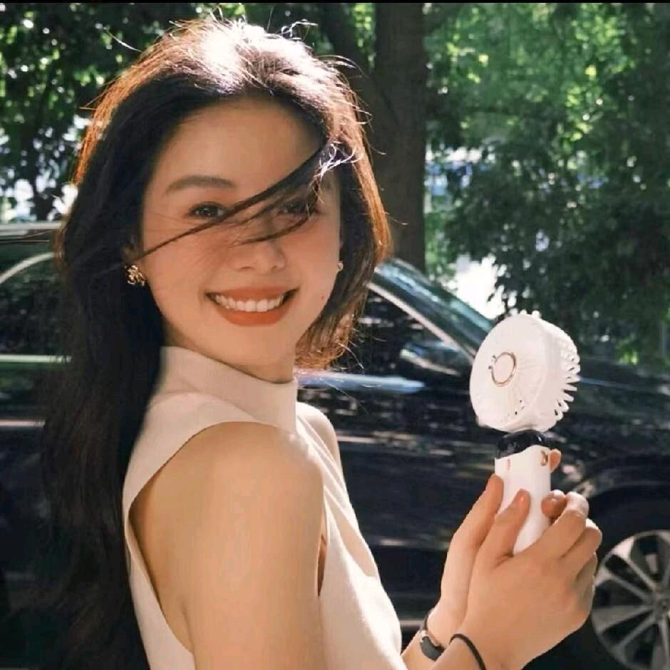 广州佳佳二手车（零售批发）