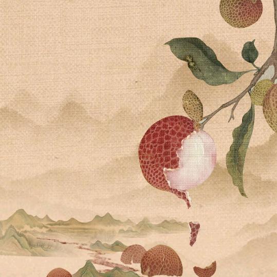 小草668（拼命版）