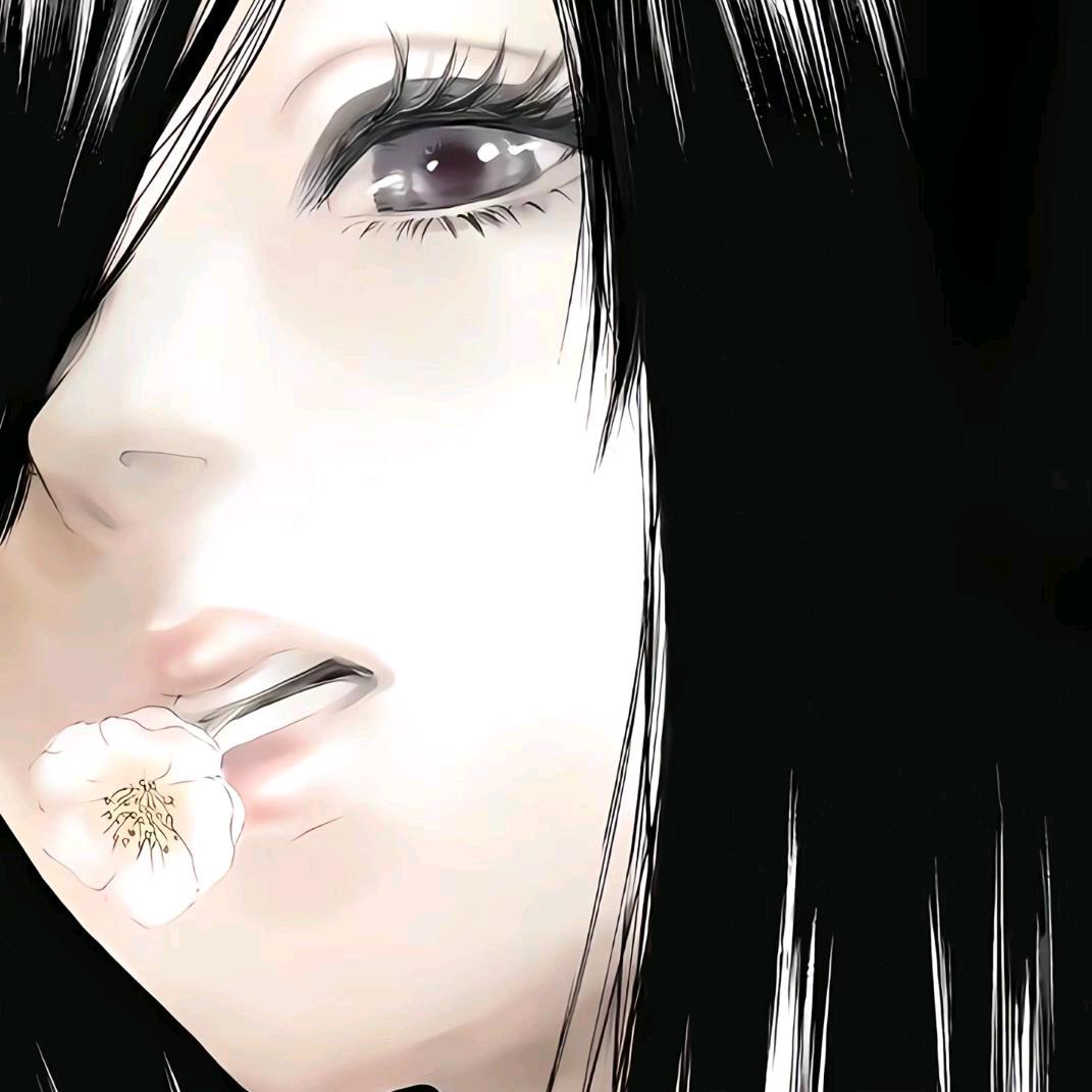05琪