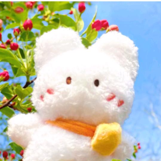 鑫鑫然同学（新新手期）